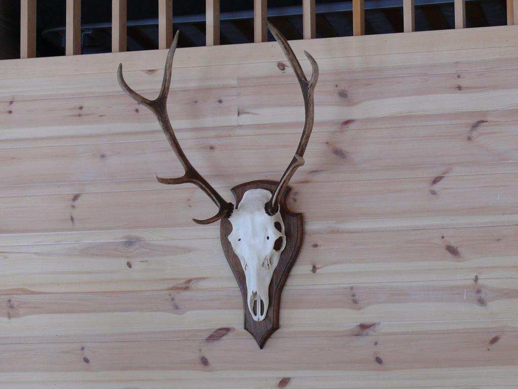 Chalet Vradal别墅 外观 照片